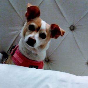 Meet your Posher, Natalie